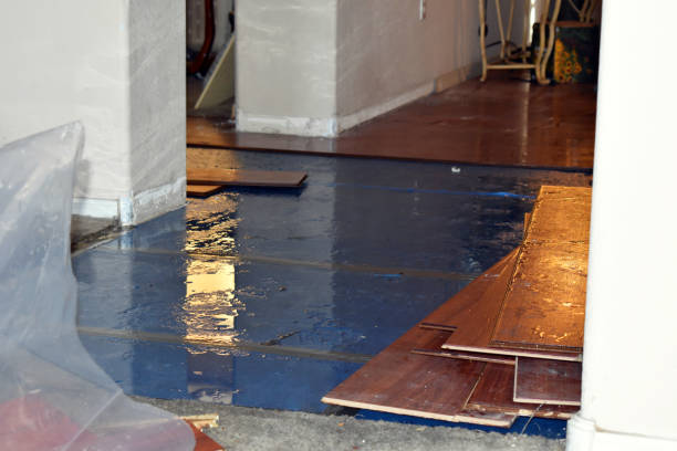 Professional Burst Pipe Cleanup technician working in Pequannock, NJ